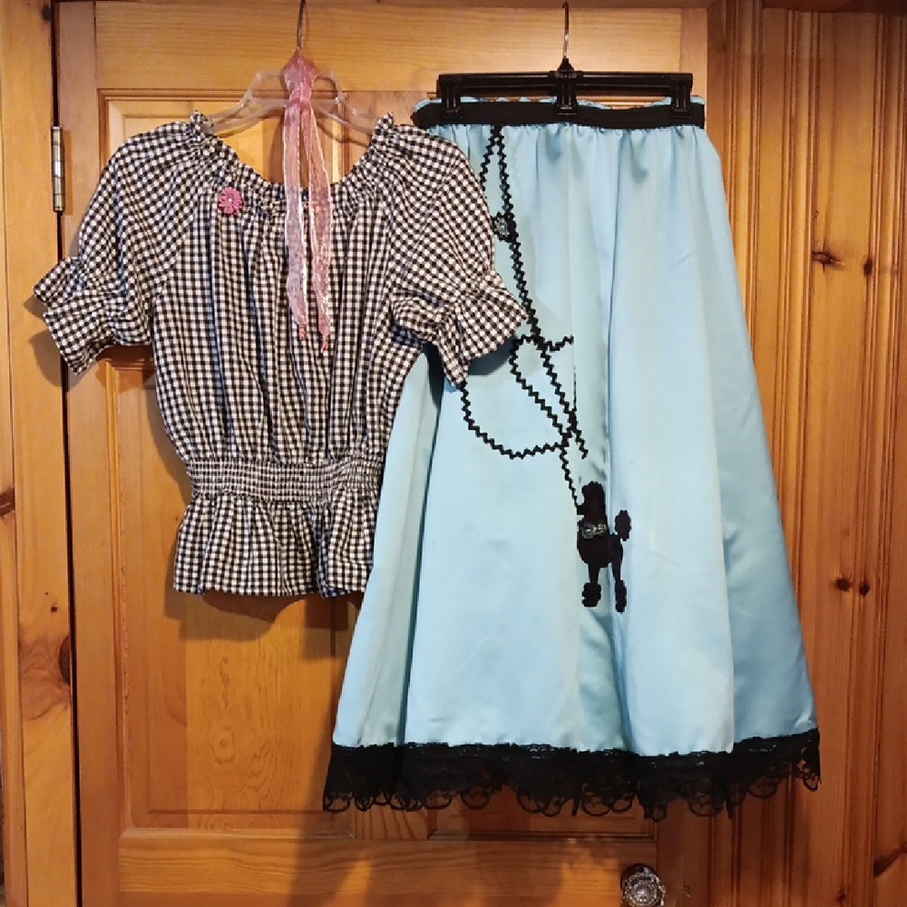 Poodle Skirt with Gingham Blouse Set.